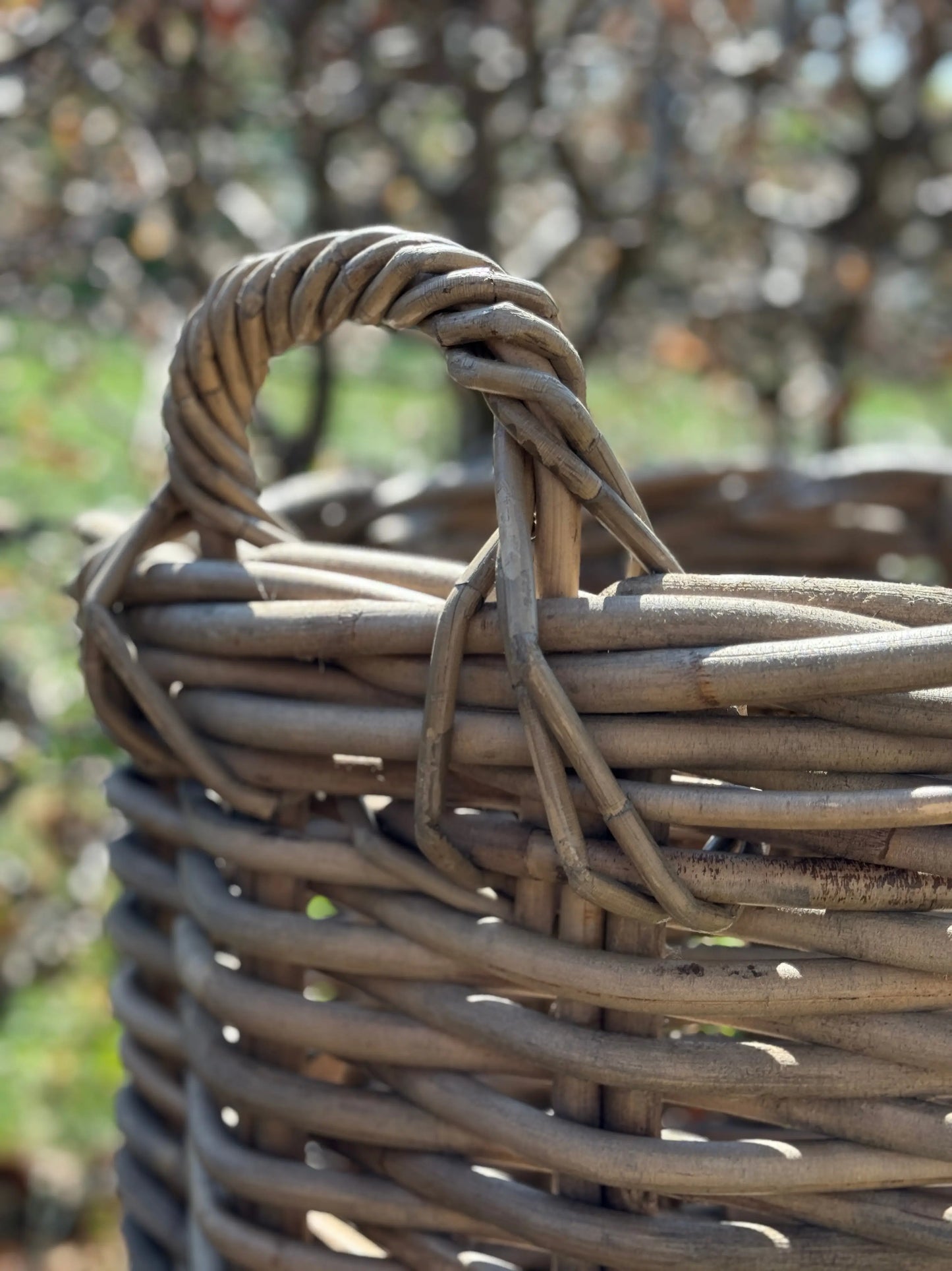 Rotan Manden – S / M / L