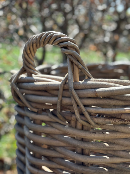 Rattan Baskets – S / M / L