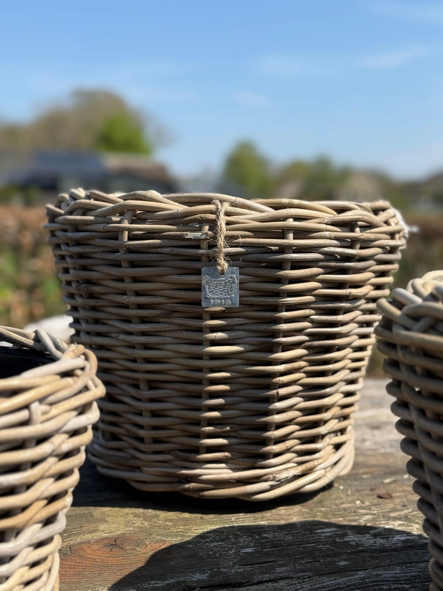 Rattan Baskets with plastic inner pot – Available in S, M, L