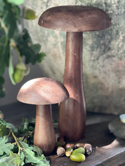 Mushroom, available in M ​​and L