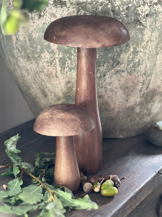 Mushroom, available in M ​​and L