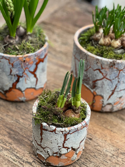 Cylinder pot, available in S, M and L