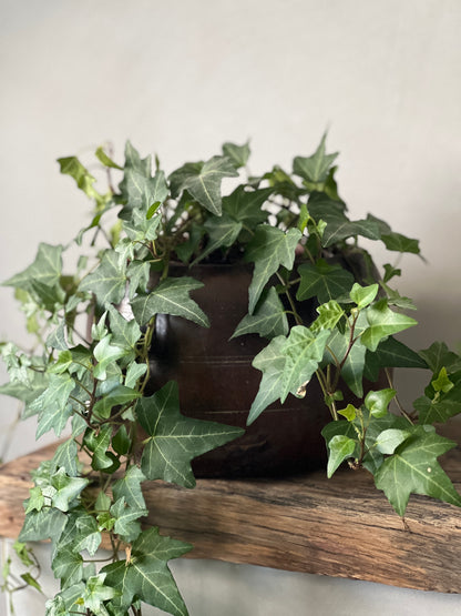 Wooden Box – Dark Wood