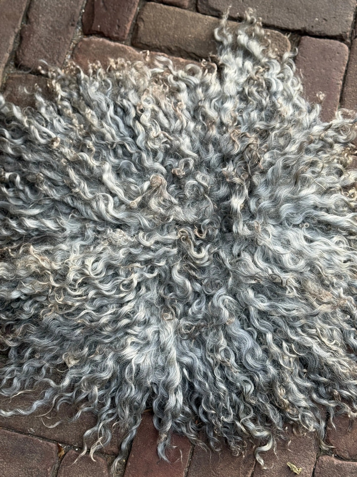 Chair fur Gray
