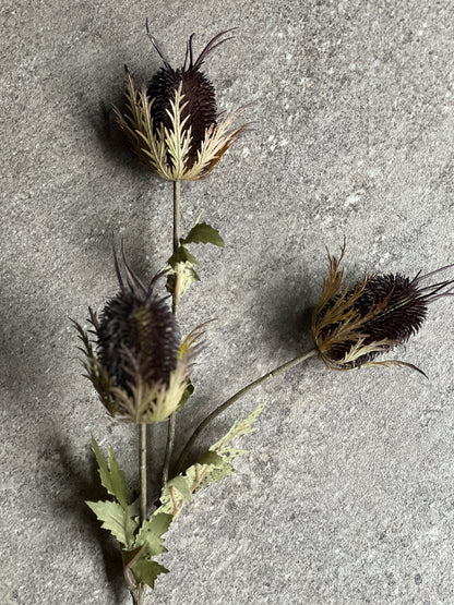 Thistle branch, Art