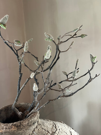Magnolia branch, art