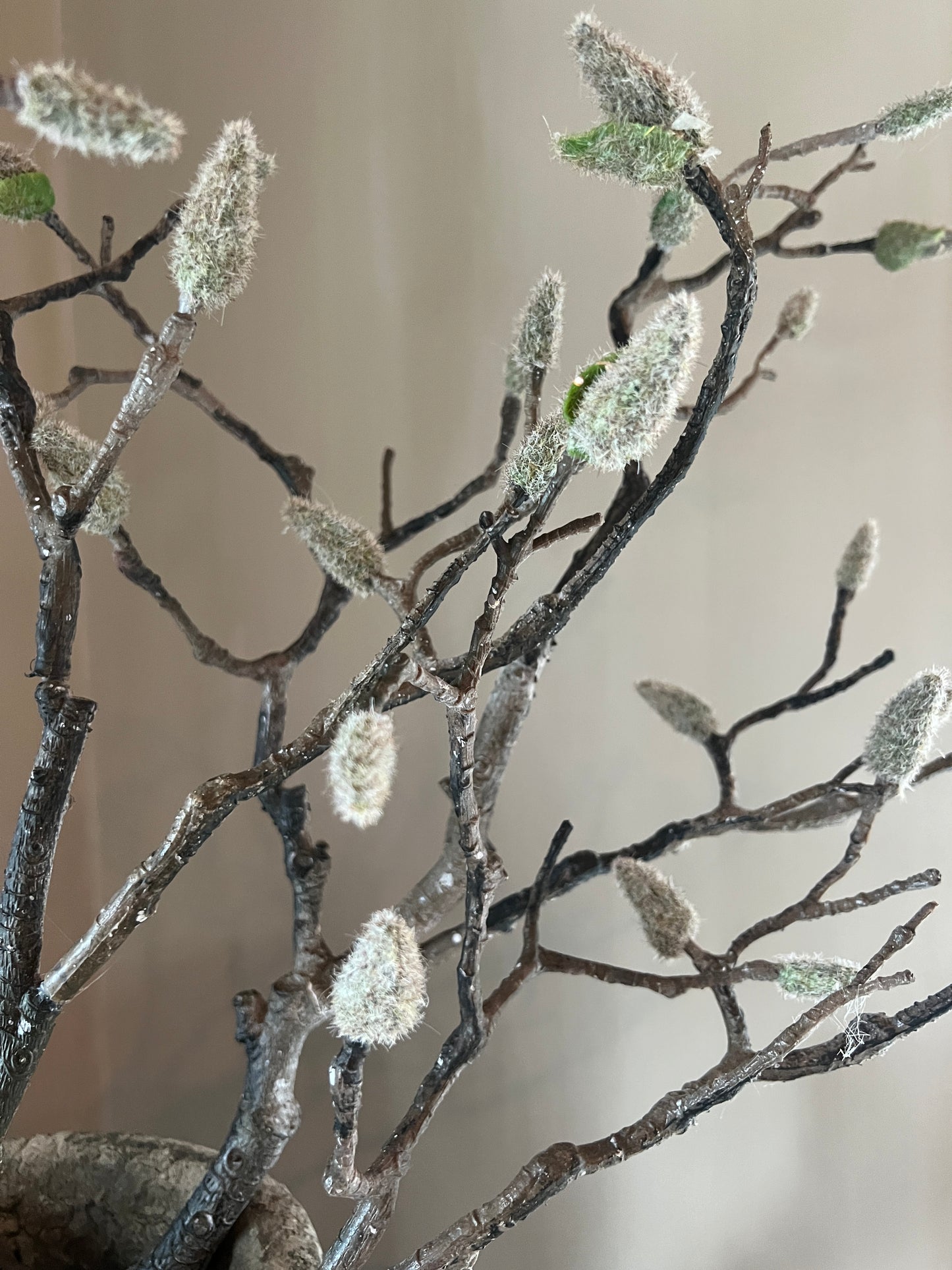Magnolia branch, art
