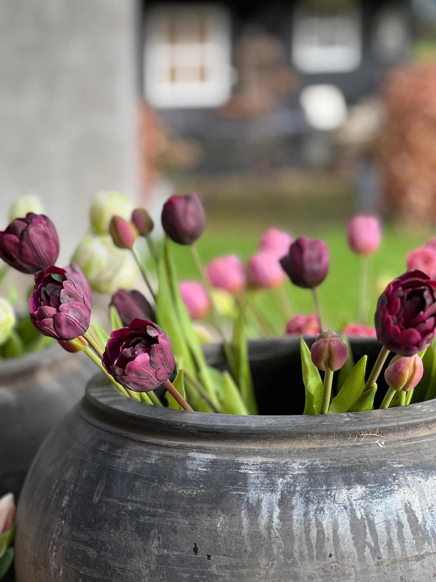 Bunch of double flowered tulips, 50 cm. dark pink