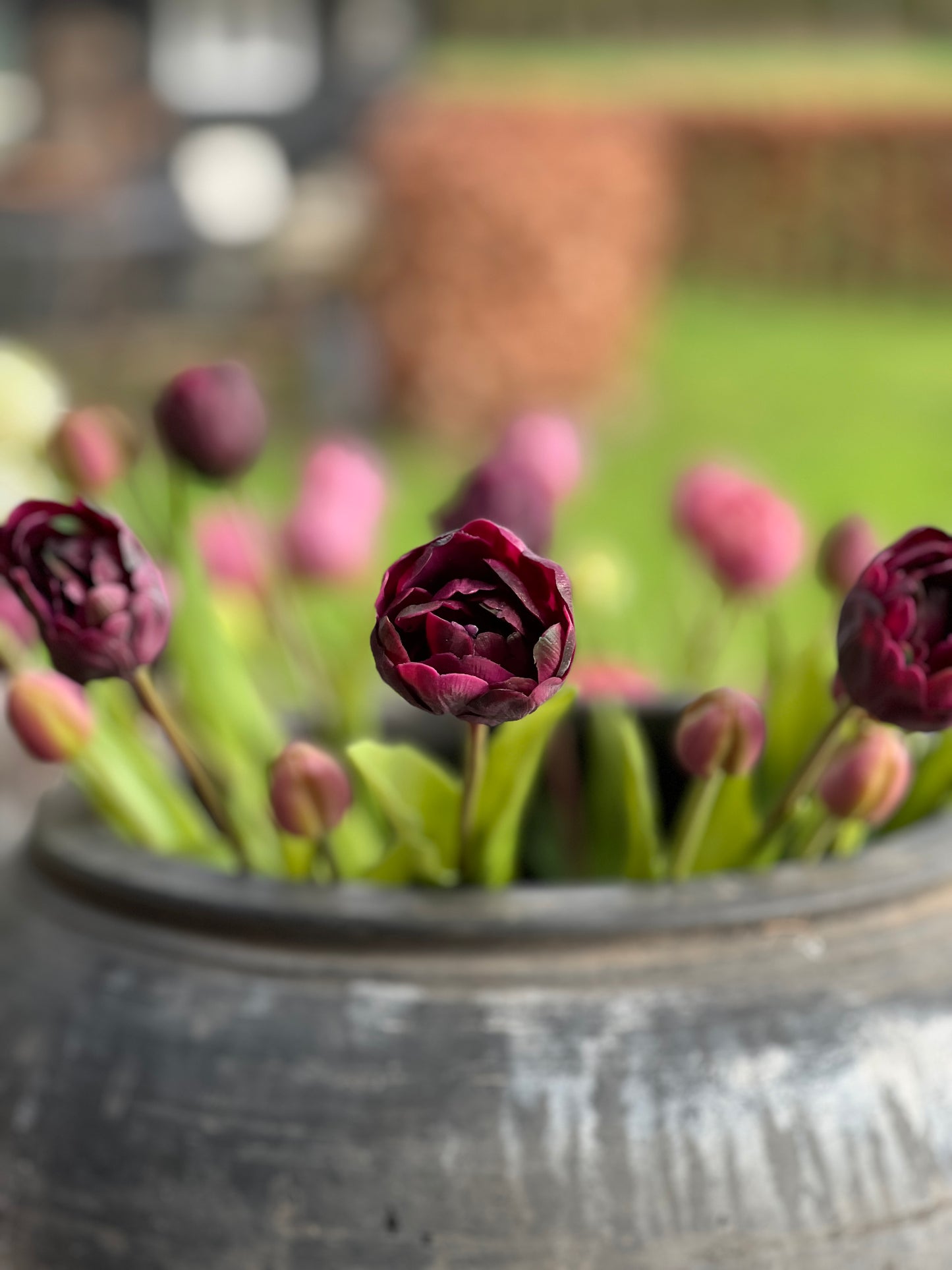 Strauß gefüllter Tulpen, 50 cm. dunkelpink