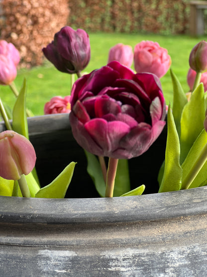 Bunch of double flowered tulips, 50 cm. dark pink