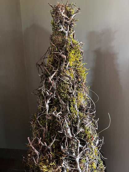 Christmas tree bonsai moss 50 cm.