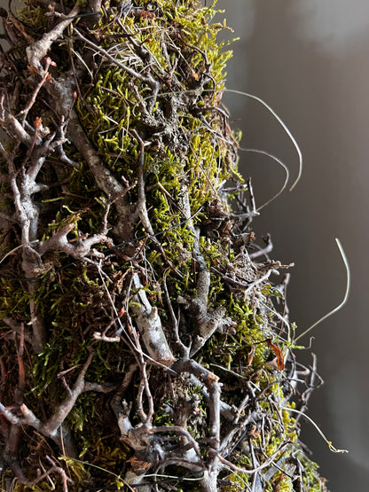 Kerstboom bonsai mos 50 cm.