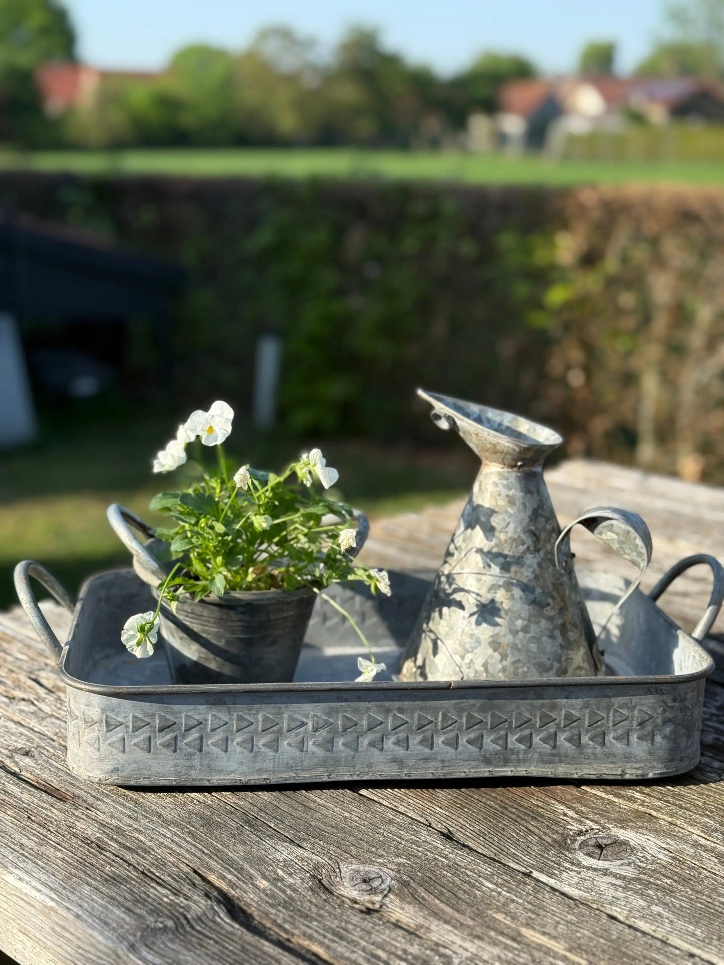 Zink potje