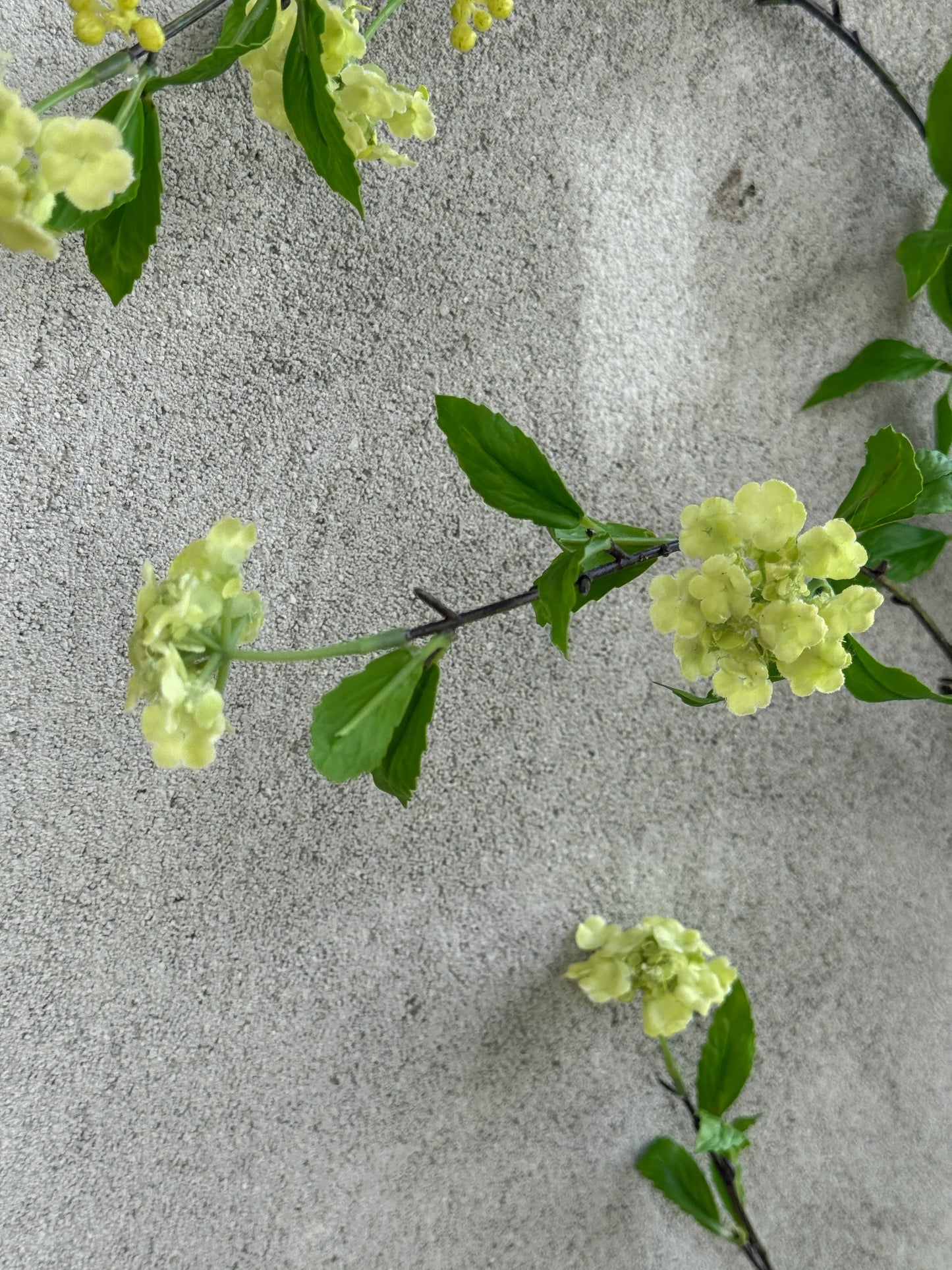 Hangende Kunstbloesemtak 115 cm – Warm Witte Bloesem