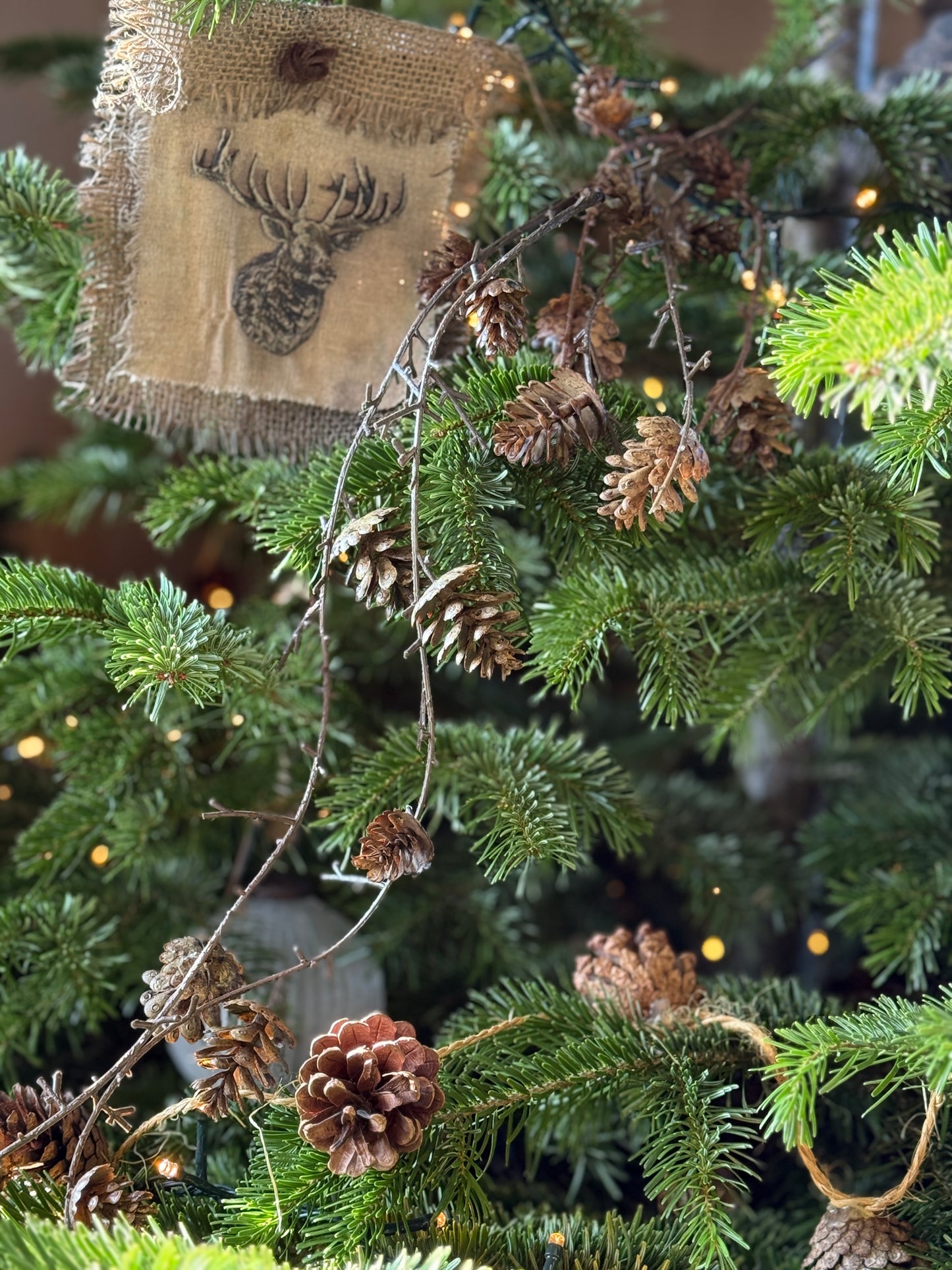 Hangende Dennenappeltak