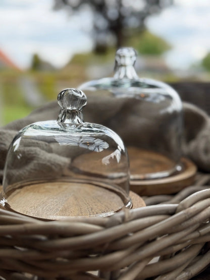Bell jar set of 2 pieces
