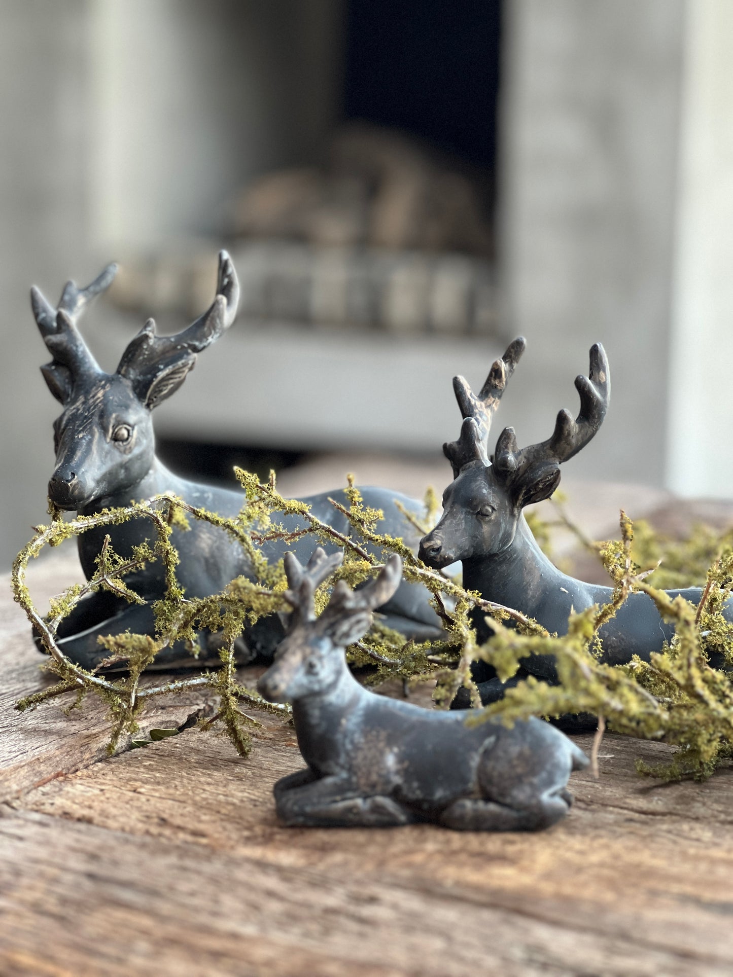 Deer, set of 2, available in 3 sizes