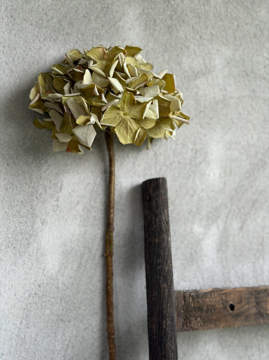 Kunst Hortensia groen – 60 cm