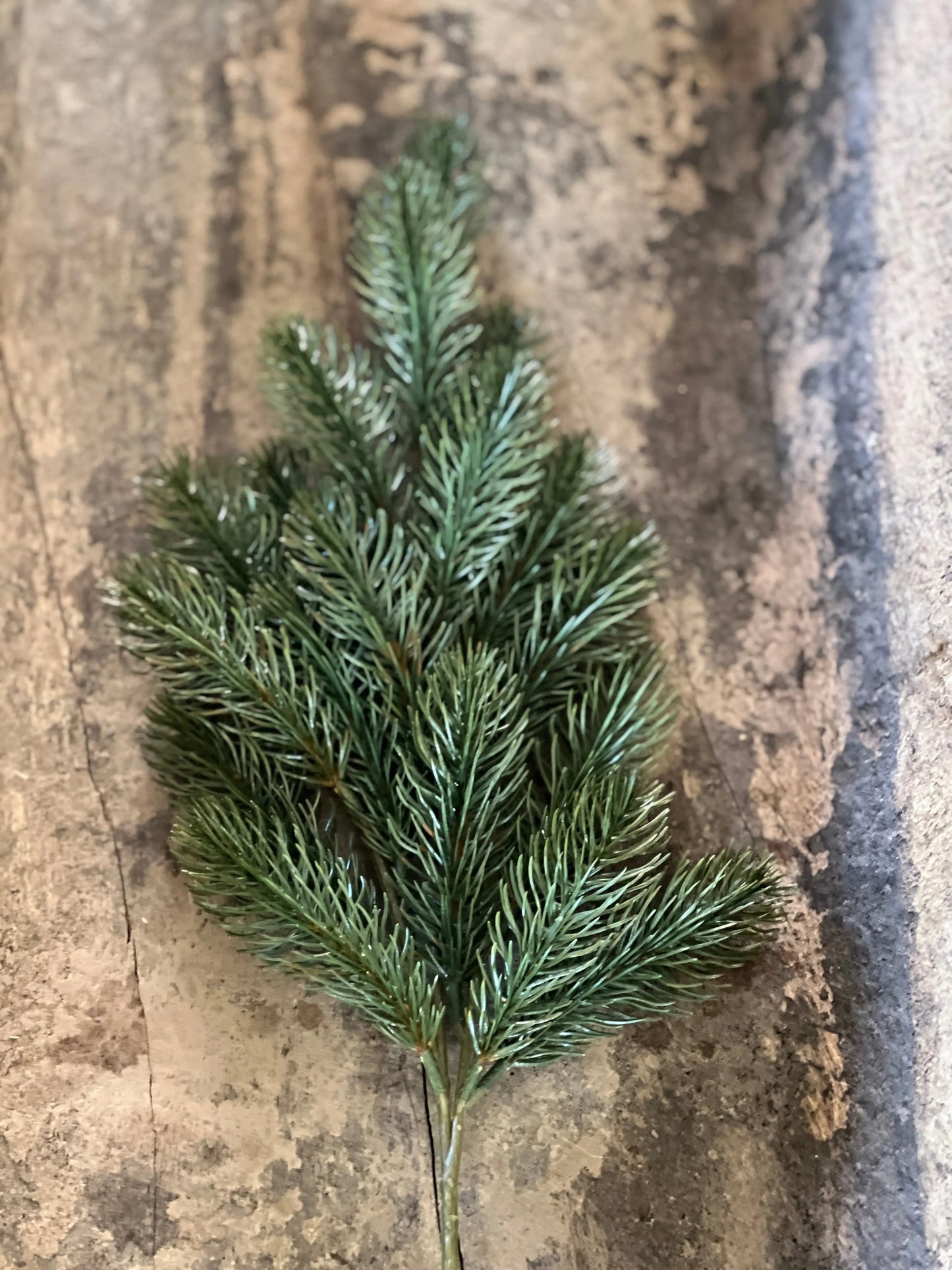 Nobilis branch art, slightly shiny