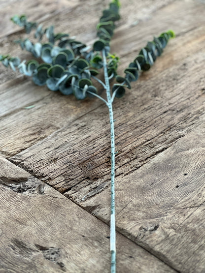 Artificial Eucalyptus branch