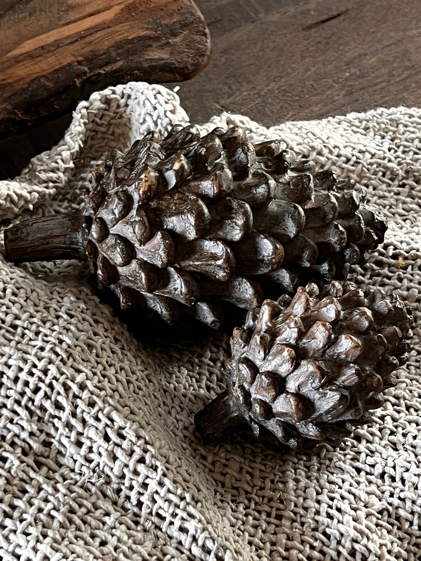 Pine Cone Art, Available in S and M