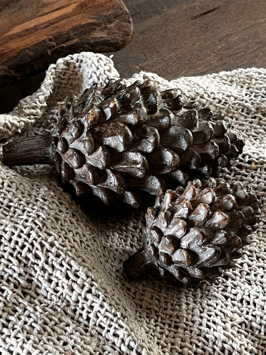 Pine cones, available in S and M