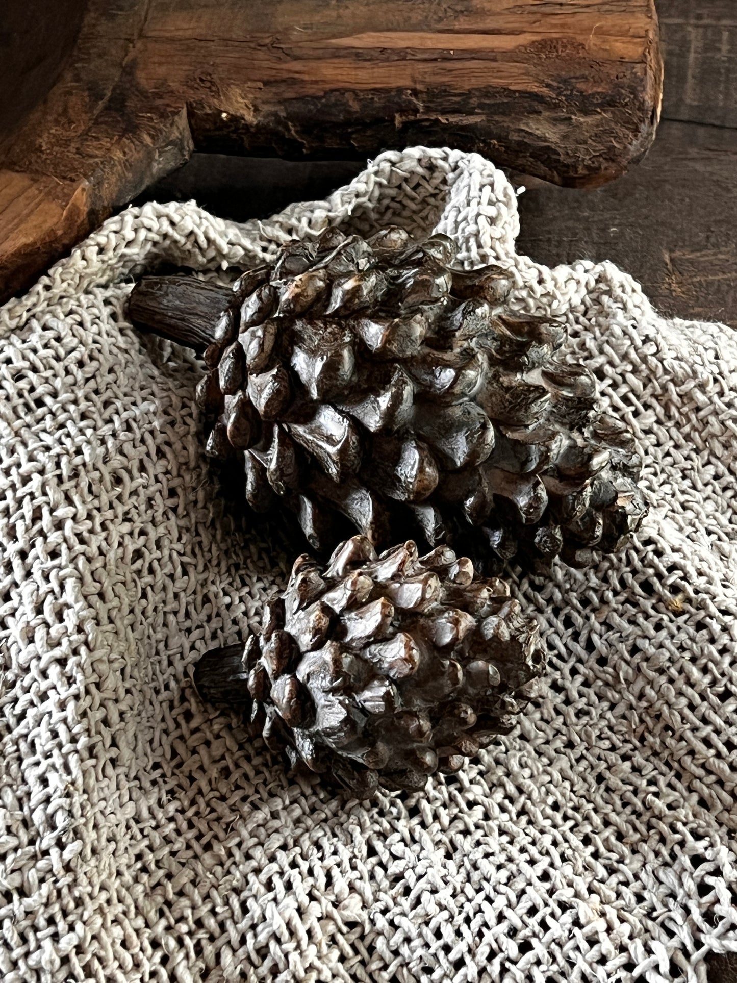 Pine cones, available in S and M