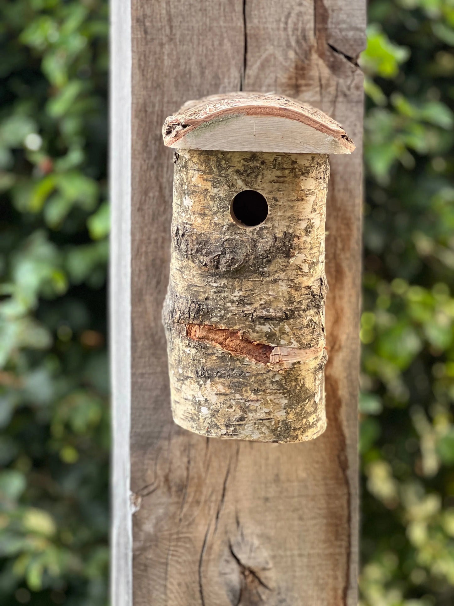 Nest box Blue Tit