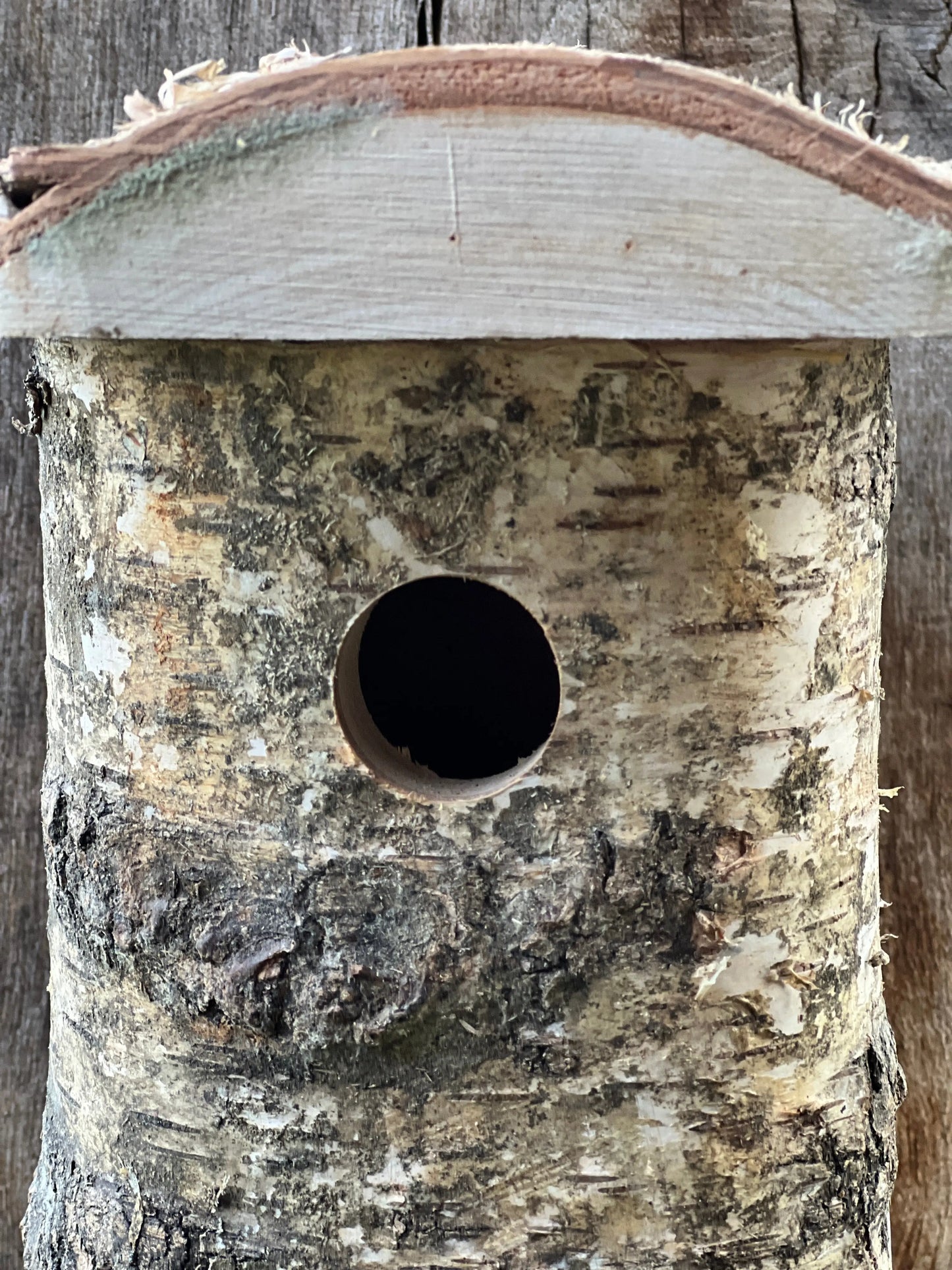 Nest box Blue Tit