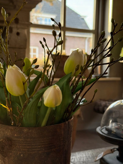 Bund mit 5 weißen Tulpen, 30 cm.