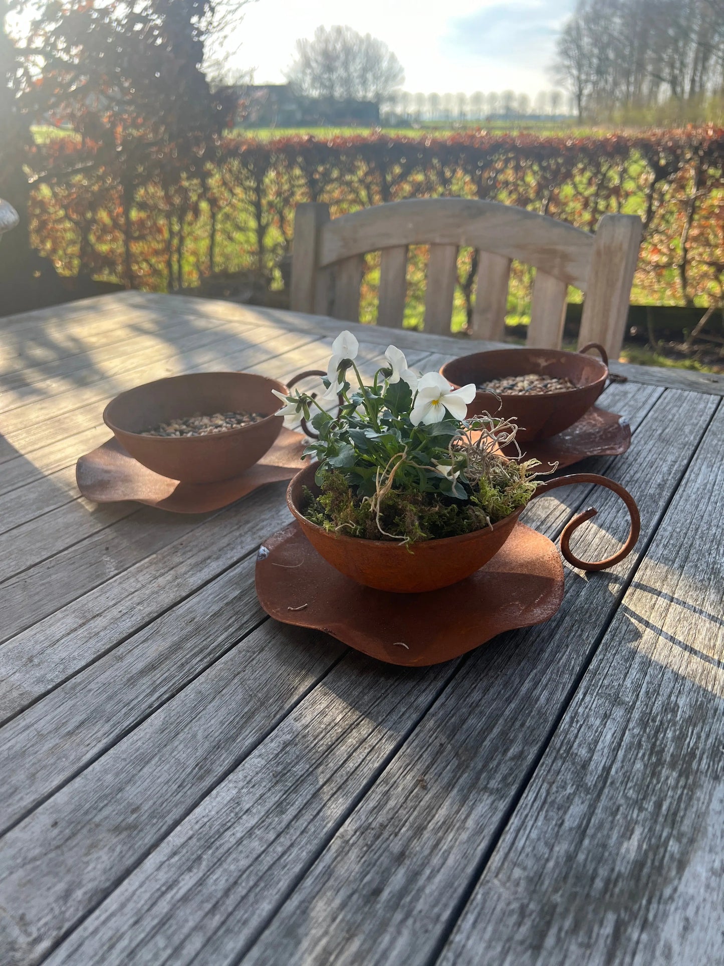 Cup and saucer - Set of 2 pieces - rusted metal