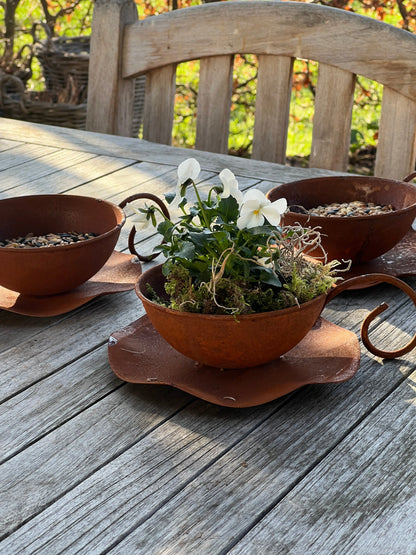 Cup and saucer - Set of 2 pieces - rusted metal
