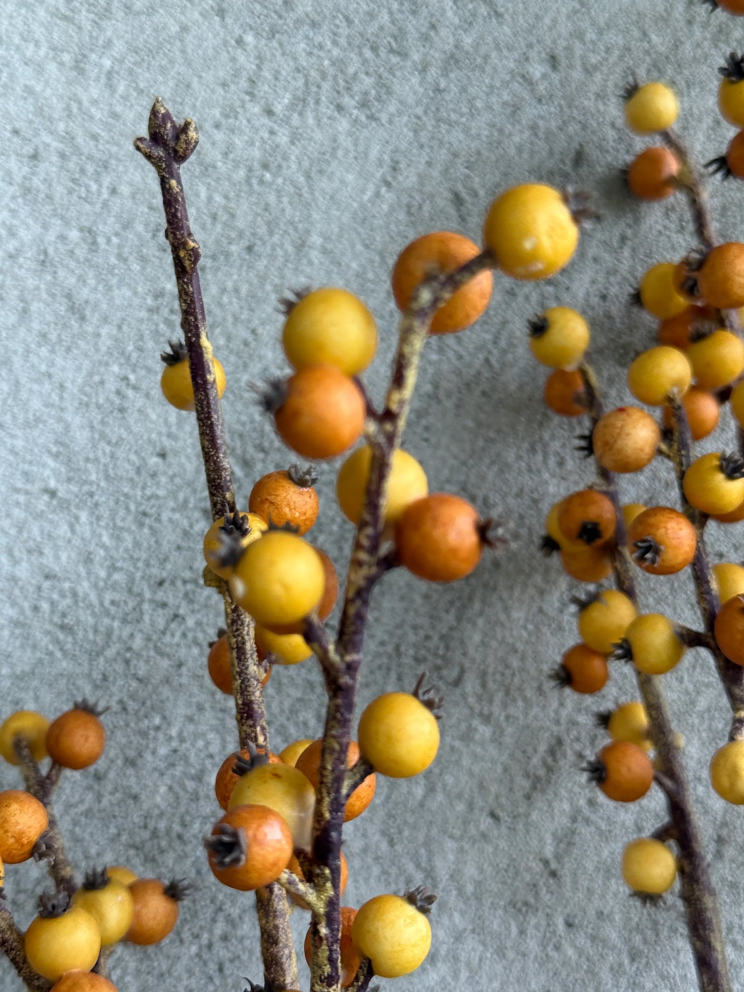 Kunsttak Autumn Berry 66 cm