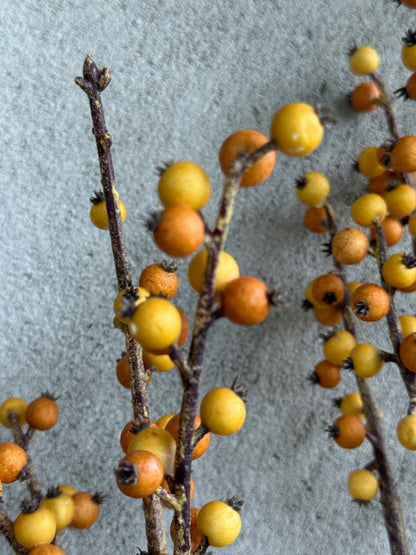 Kunsttak Autumn Berry 66 cm