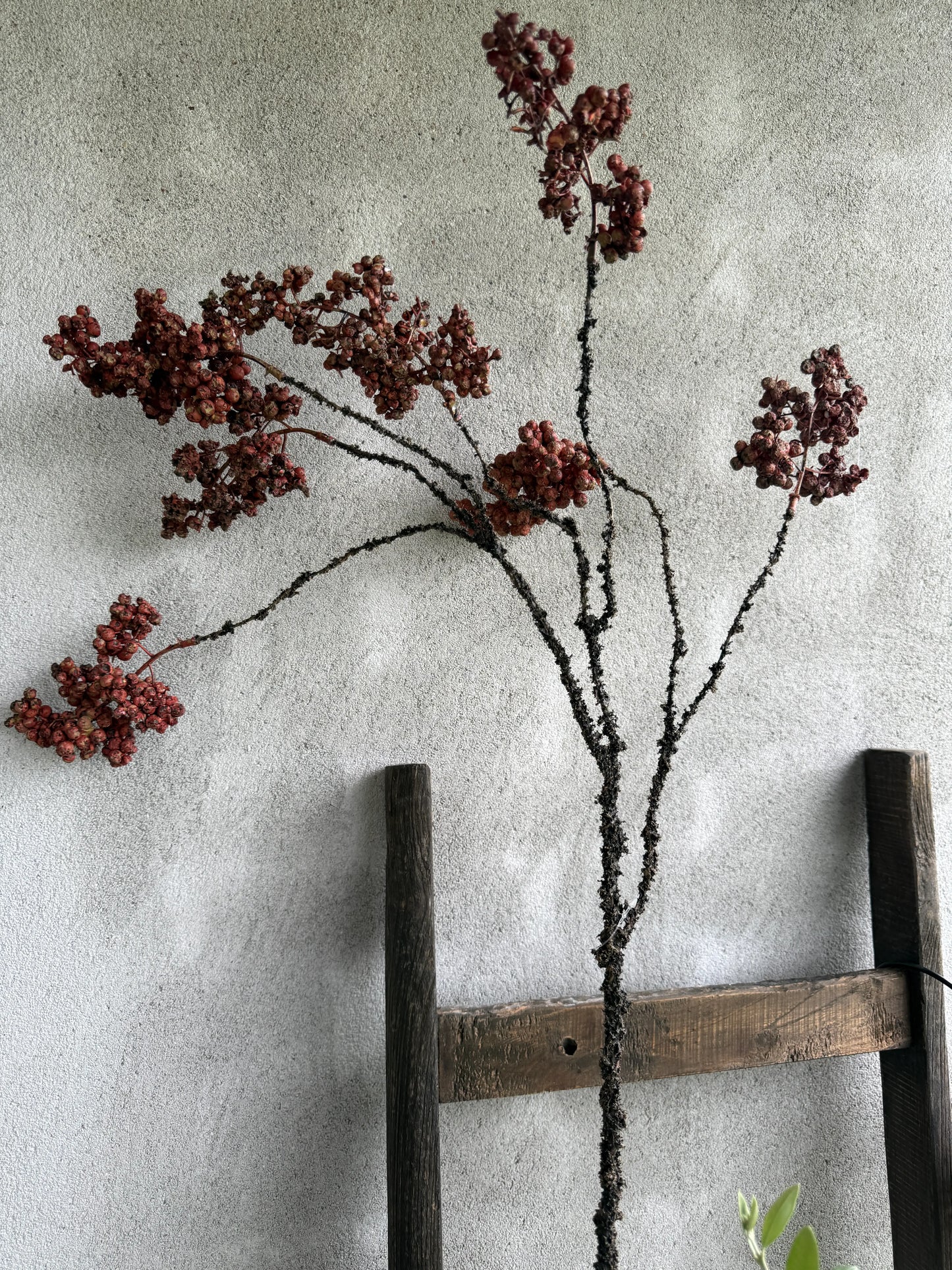 Artificial Privet Ligustrum Vulgare rust brown – 80 cm