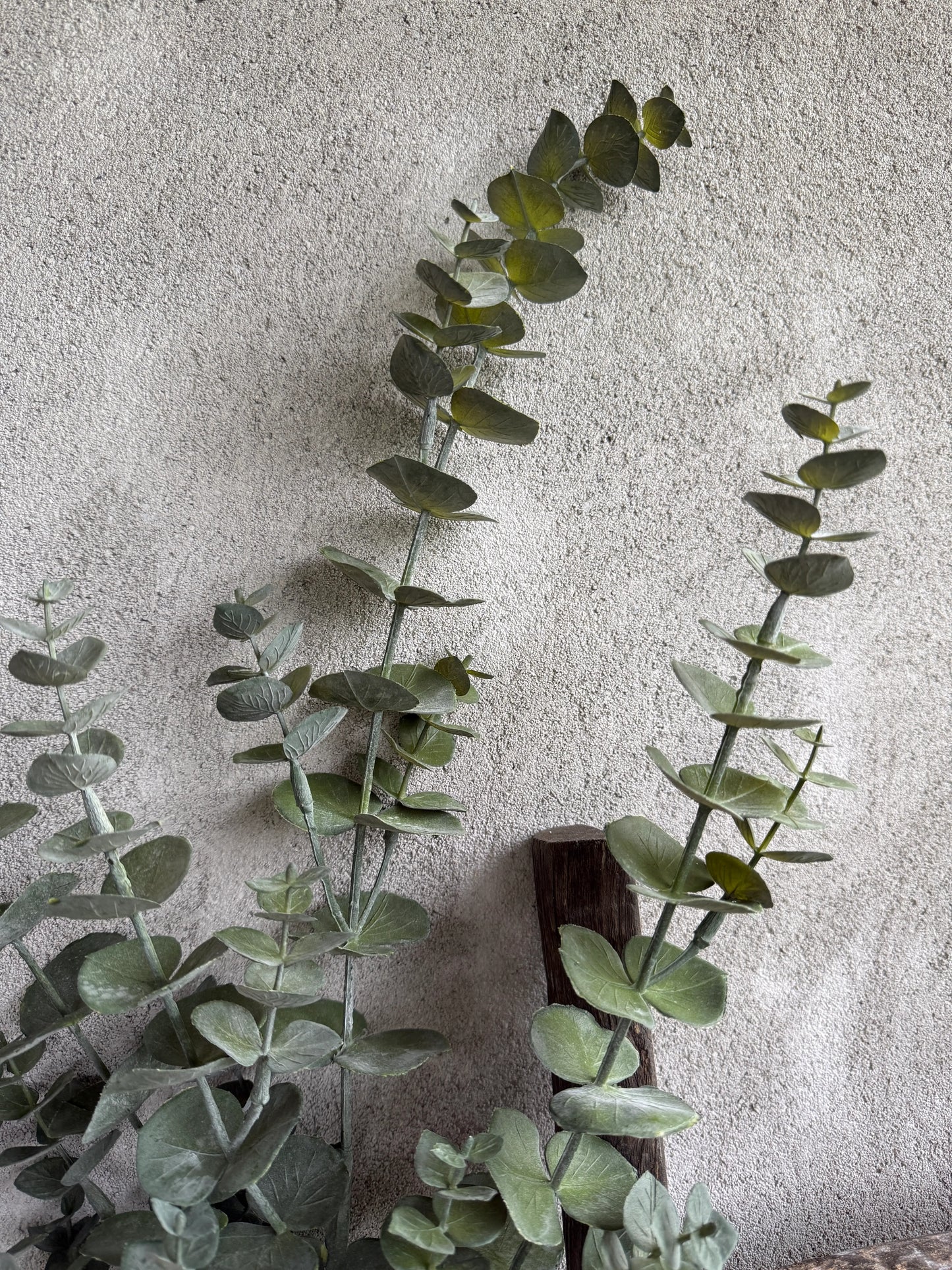 Eucalyptus branch Artificial - 88 cm.