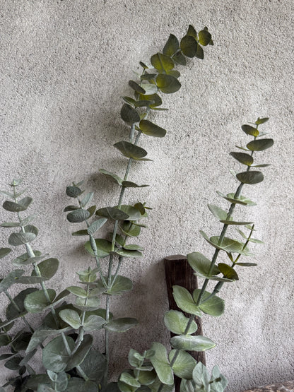 Eucalyptus branch Artificial - 88 cm.