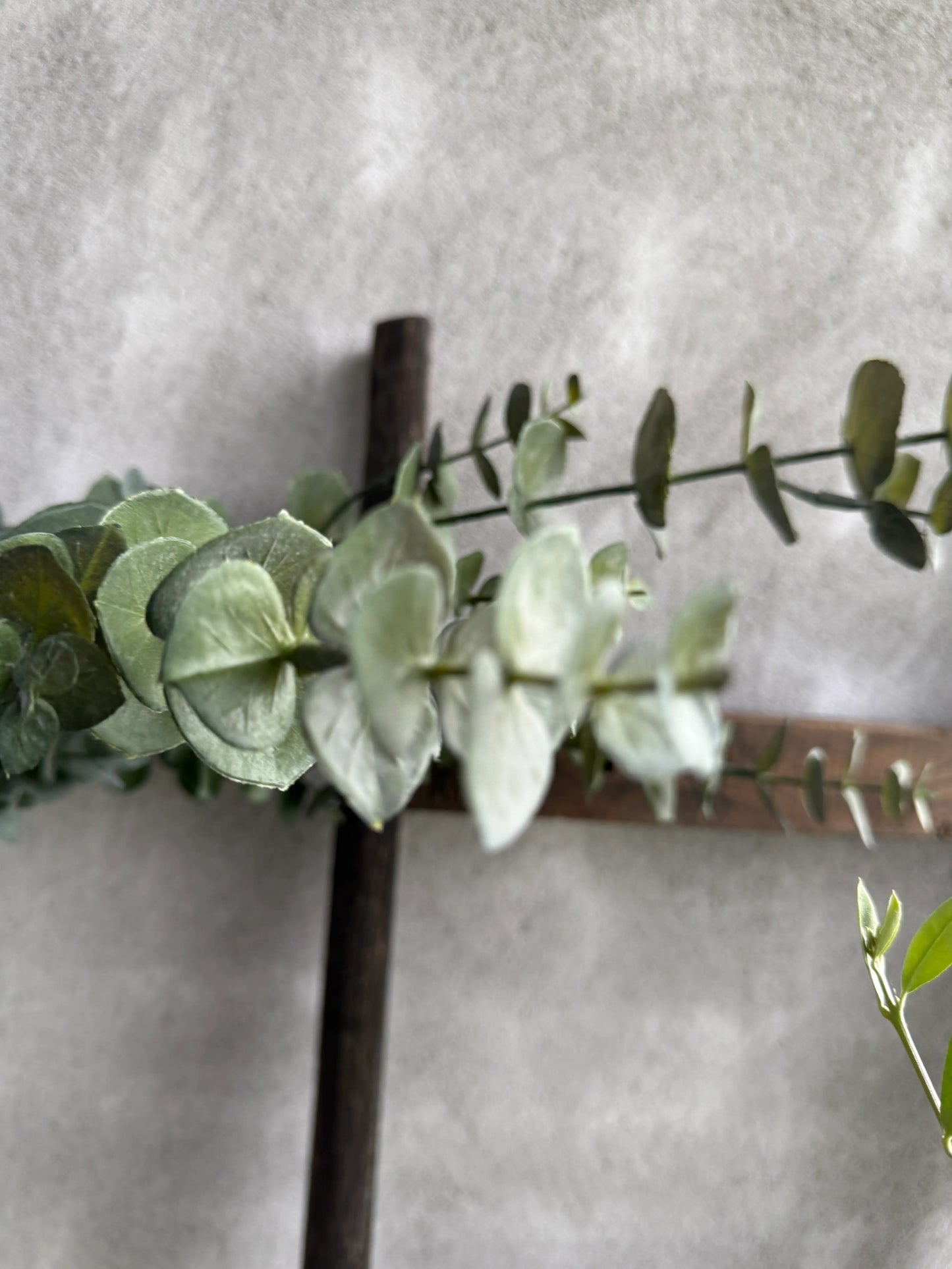 Eucalyptus branch Artificial - 88 cm.