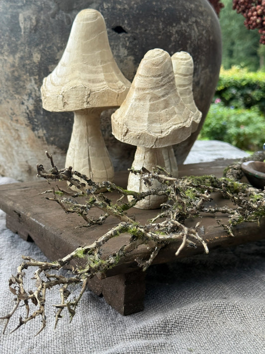 Polystone mushroom- Sand color- Available in 2 sizes