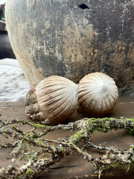 Polystone acorn