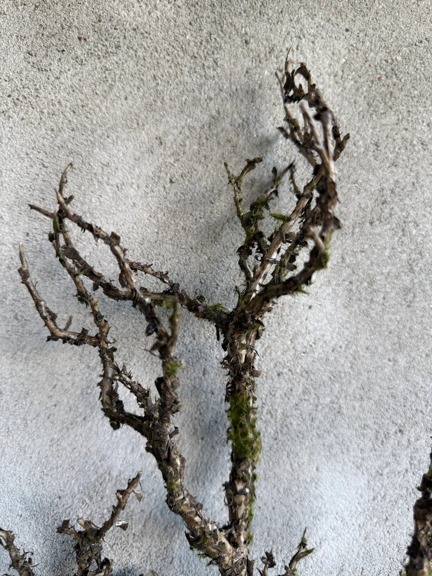 Kunst Tak- circa 70x20 cm