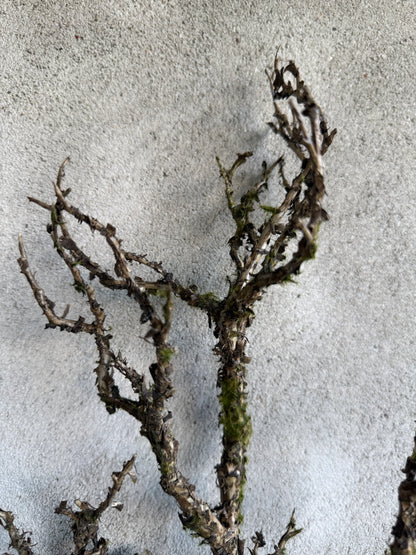 Kunst Tak- circa 70x20 cm