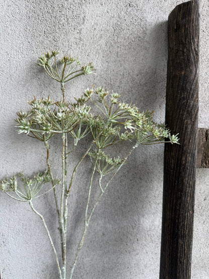 Kunstbloem Heracleum Mini Spray Green White Wash- 75 cm