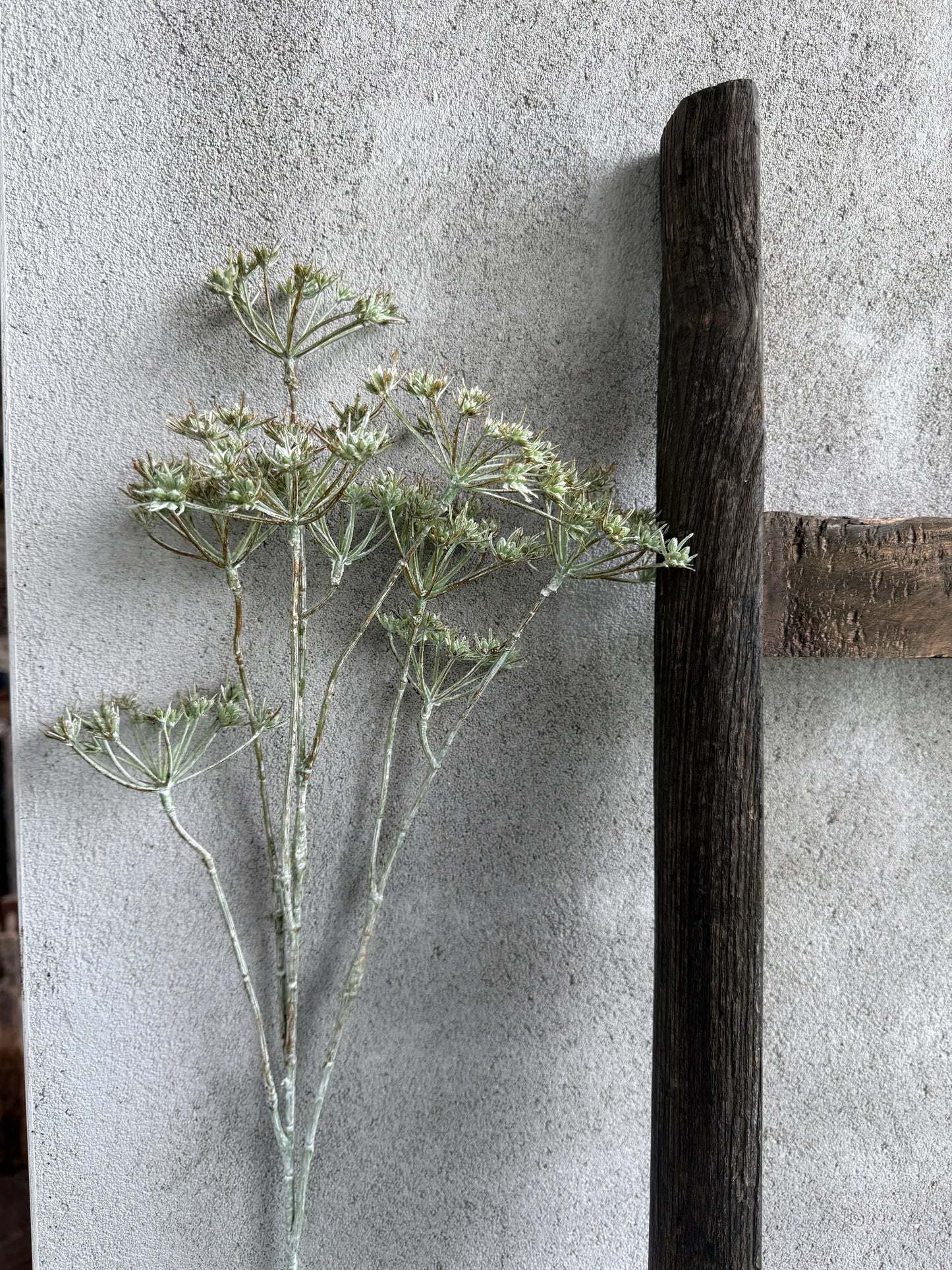 Kunstbloem Heracleum Mini Spray Green White Wash- 75 cm