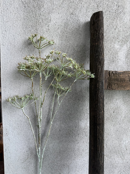 Kunstbloem Heracleum Mini Spray Green White Wash- 75 cm