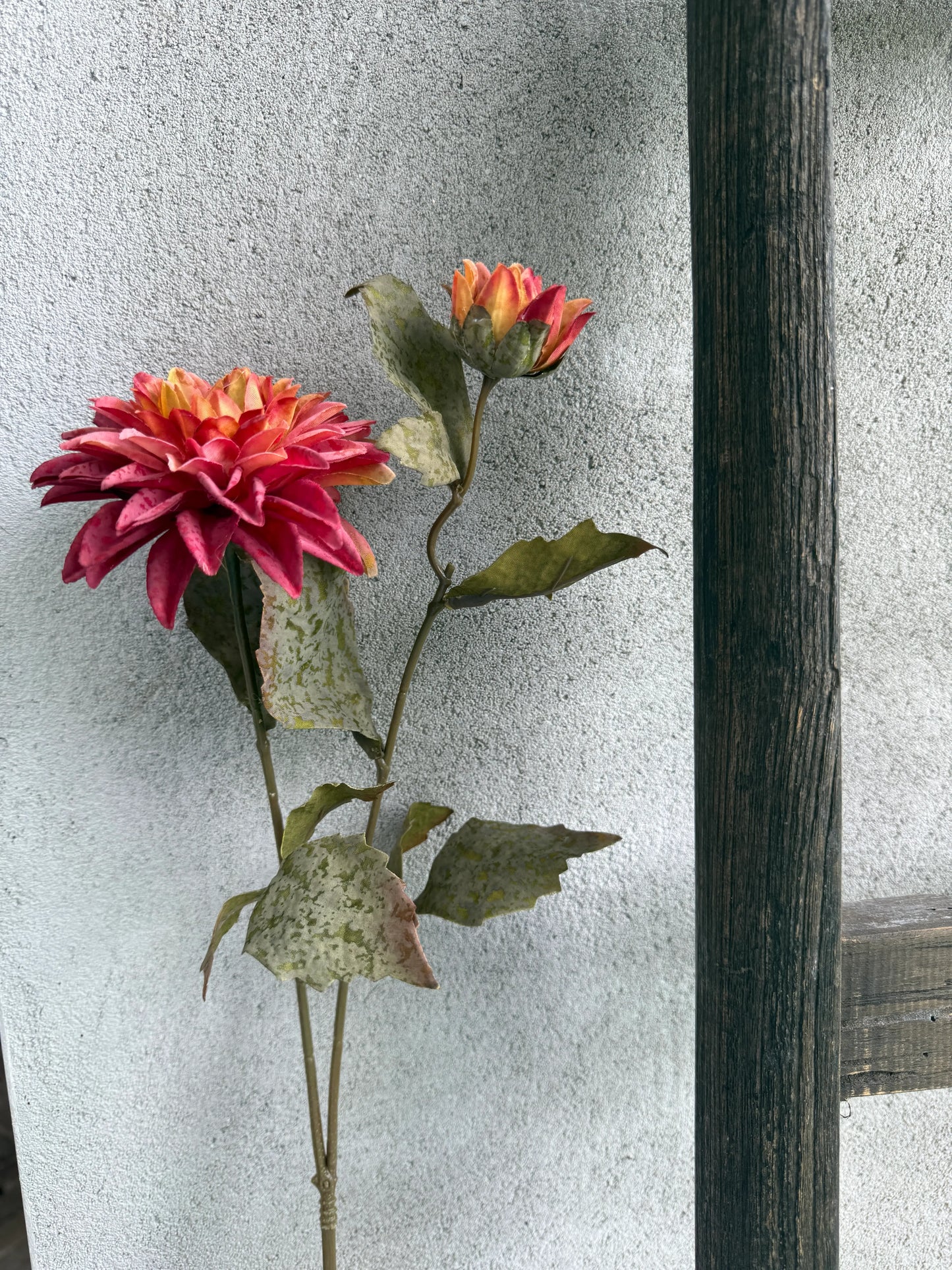kunstbloem Dahlia perzik- 66 cm