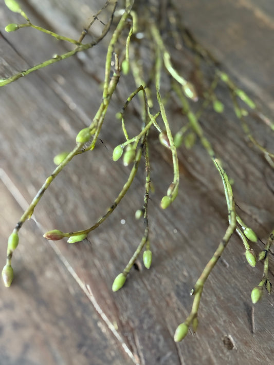 Künstlicher Tilia-Blumenstrauß – 3 grüne Zweige