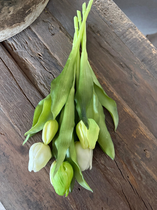 Bos Tulpen , 7 stuks, 31 cm. Wit