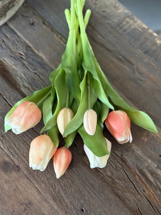 Bos Tulpen, 7 stuks, 31 cm. Perzik