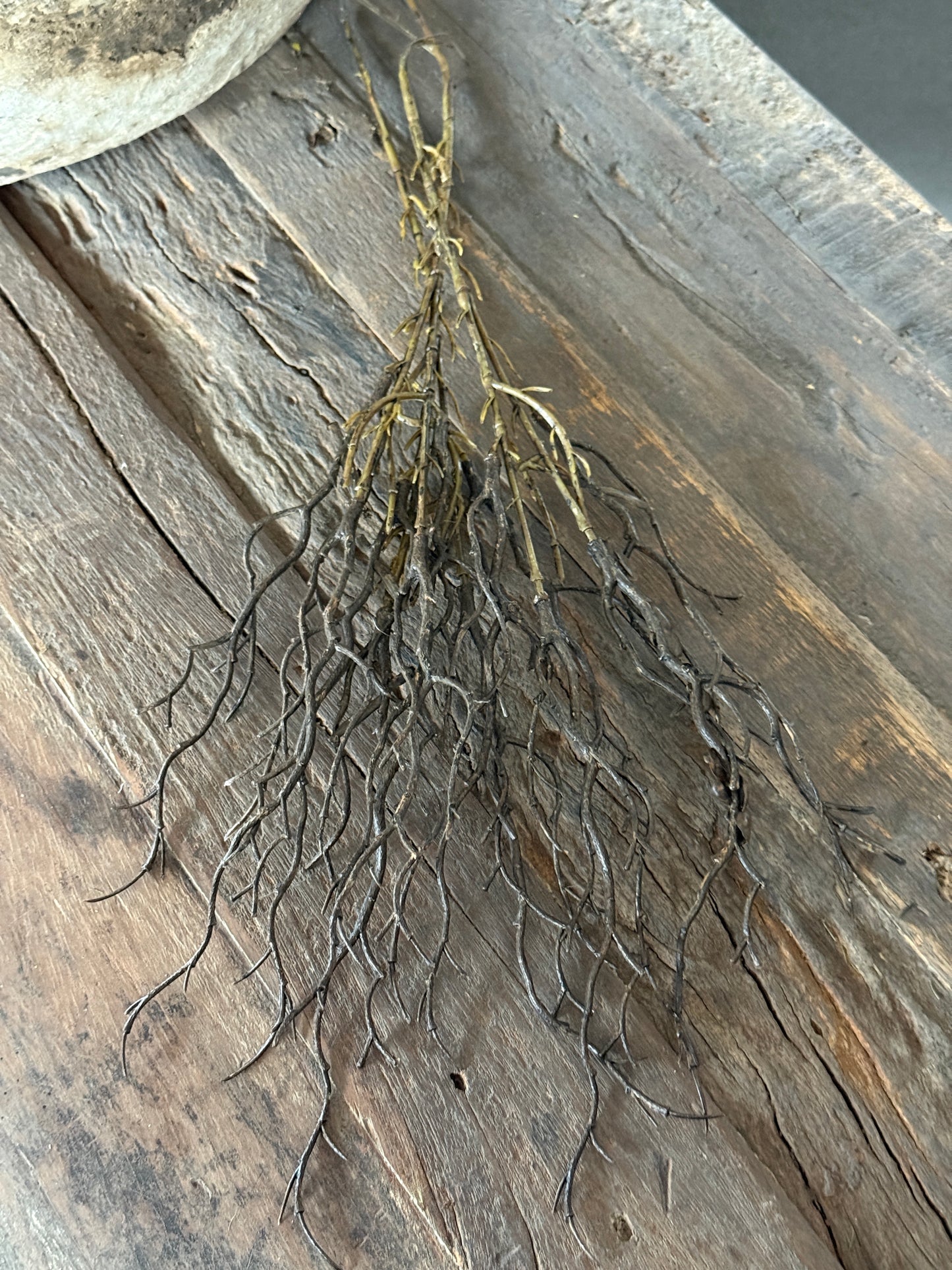 Art Myrica Bundle – 3 Brown Branches